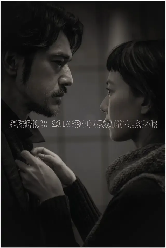 温暖时光：2016年中国感人的电影之旅